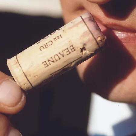 Mercure Rouen Val De Reuil Hotel